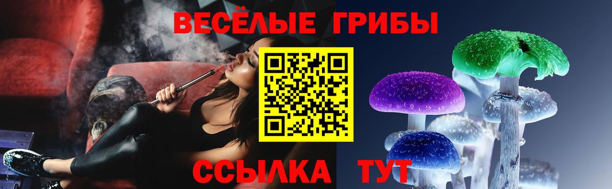 Магадан  Псилоцибиновые грибы Psilocybine cubensis  Галлюциногенные грибы Cubensis  Вход с VPN 